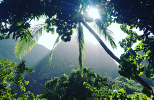 Iao Valley State Park