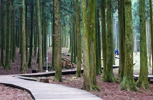 Jeolmul Natural Recreation Forest